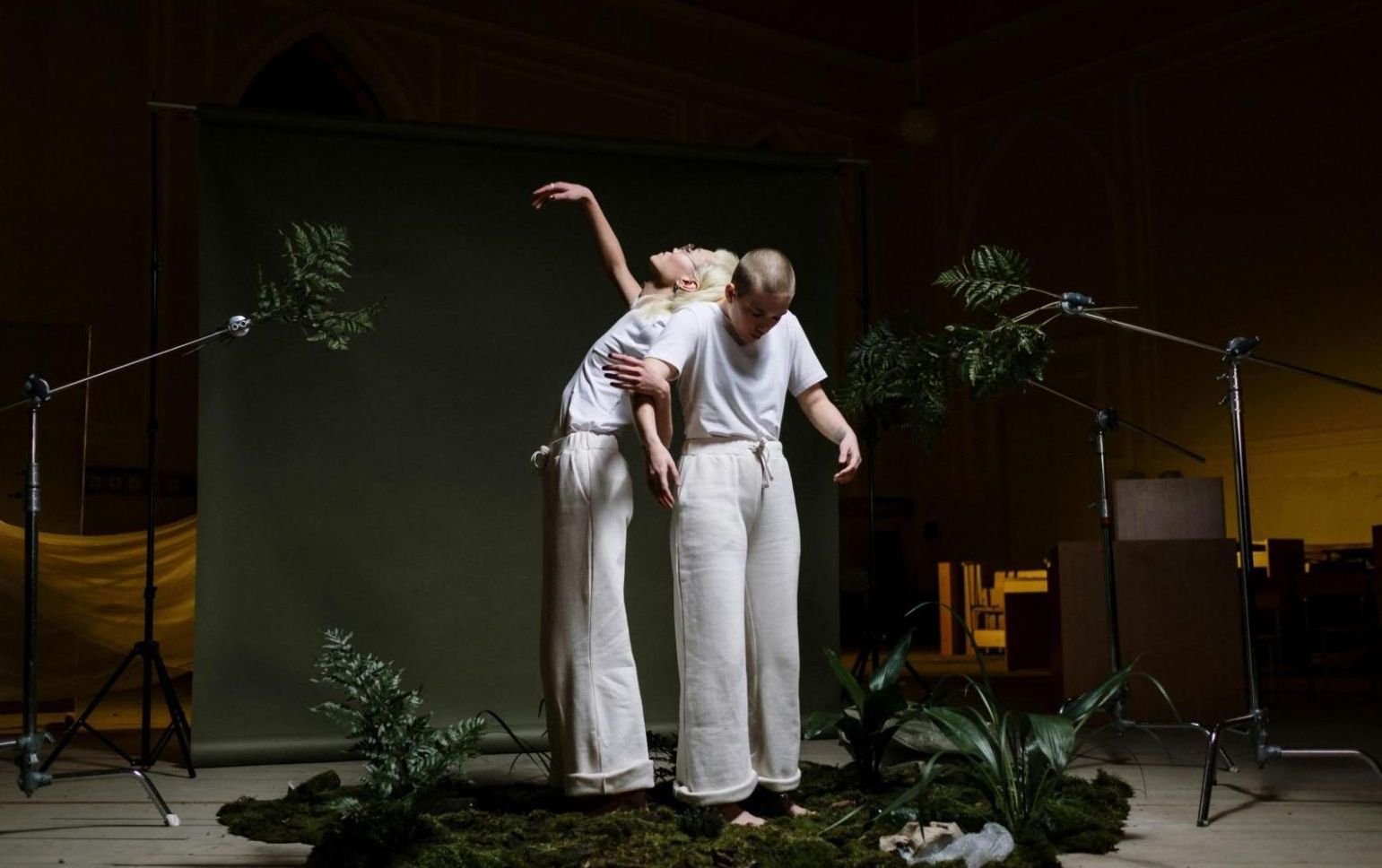 Online Partner Dancing Platforms Compared: Which Subscriptions Are Worth Paying For